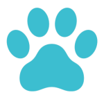 Éducation canine